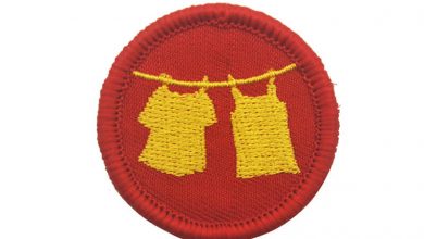 Photo of Scout patches have gained popularity and get the high significant achievement