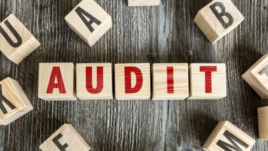 Photo of Why an audit is necessary for the company website?