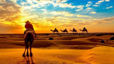 Photo of What Is The Purpose Of Choosing The Jaisalmer Tour Package