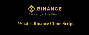 What is Binance Clone Script