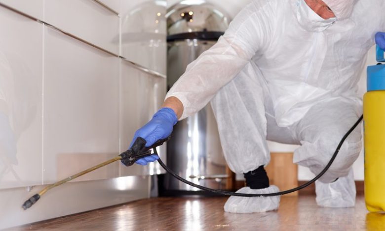 Mold Remediation