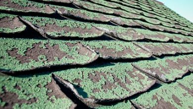 Photo of Roofing Problems and Solutions