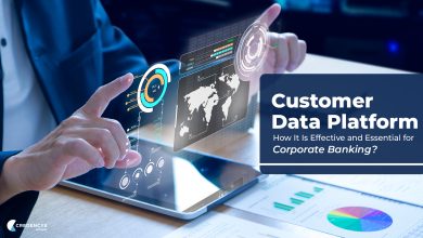 Photo of Customer Data Platform Development -How It Is Effective and Essential for Corporate Banking?