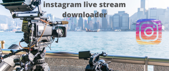 Instagram video download online | insta video save net