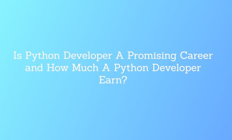 python developer