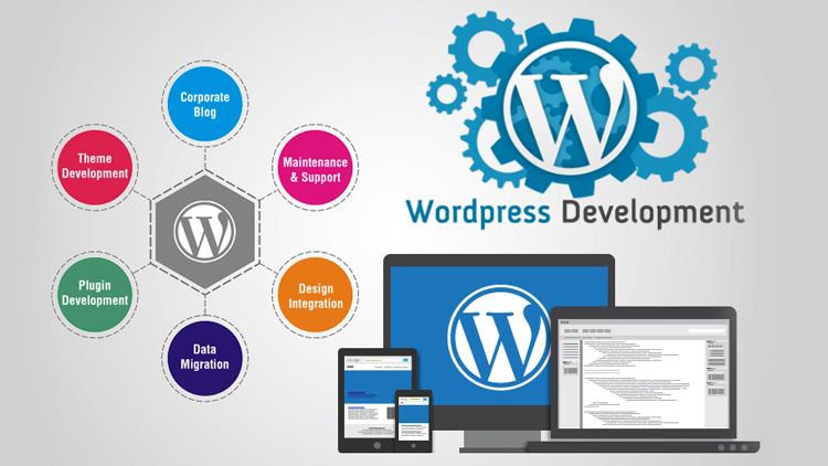 WordPress Development Company