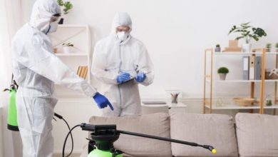 Photo of Reasons To Hire Professional Cleaning Services During Covid-19