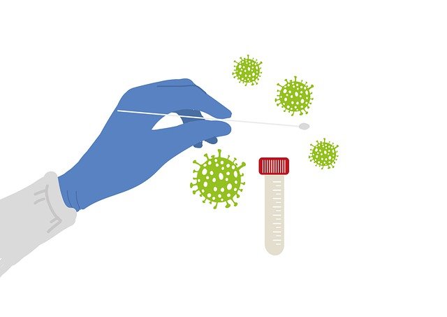 pcr test