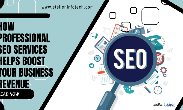 Professional SEO Services