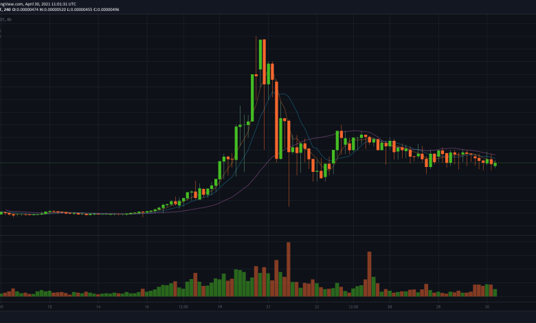 Safemoon live prices